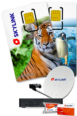 Skylink - balíček se satelitním vybavením